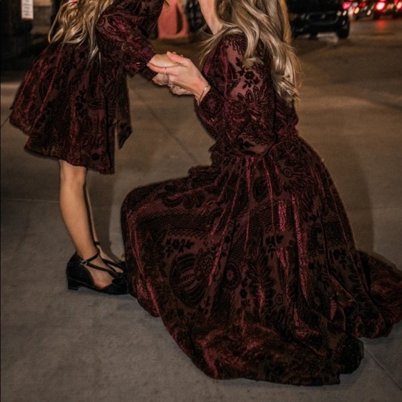 Ivy City Sasha Burnout Velvet Dress NWT - Picture 4 of 8